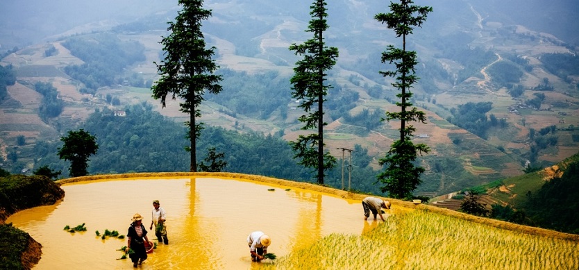 Sapa weather in August