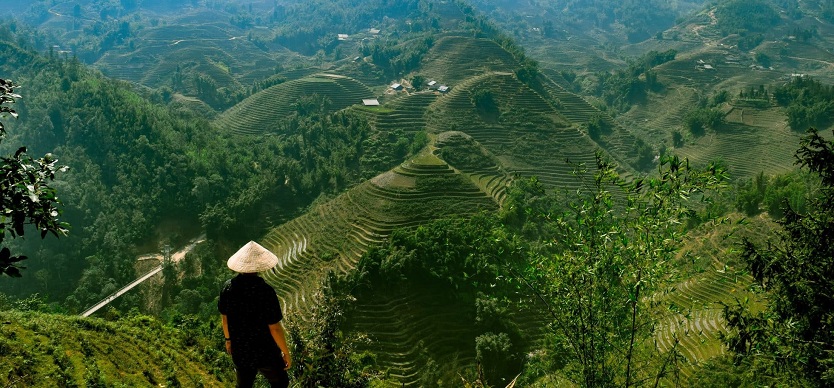 Sapa weather in January