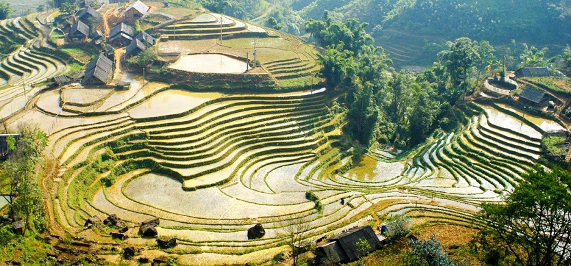 Sapa weather in June