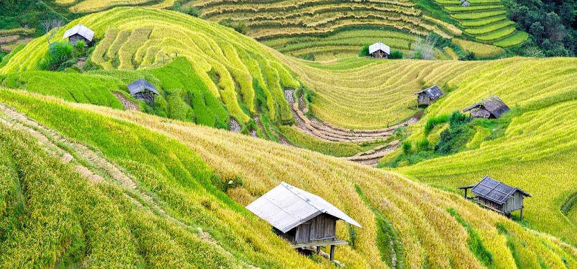 Sapa weather in March - Is it worth visiting?