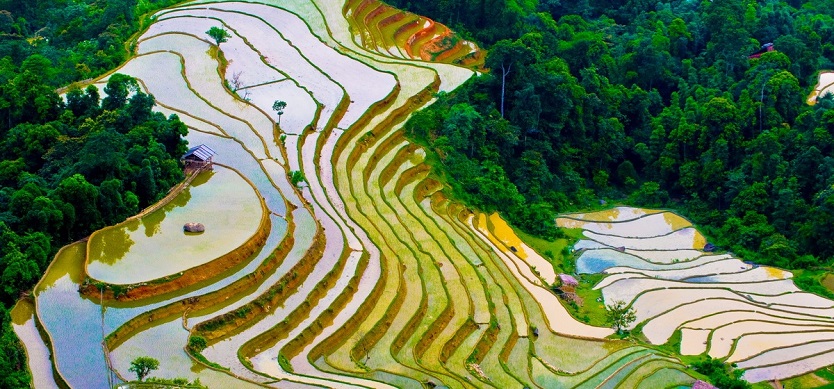 Sapa weather in May