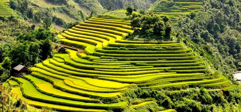 Sapa weather in October
