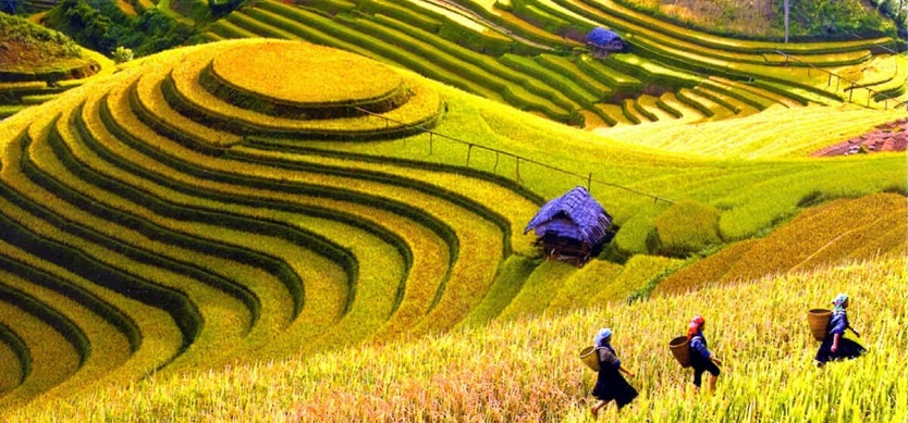 Sapa weather in September - Is it the best time to visit Sapa?