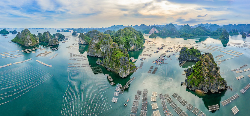 The most beautiful fishing villages in Halong Bay and Bai Tu Long Bay