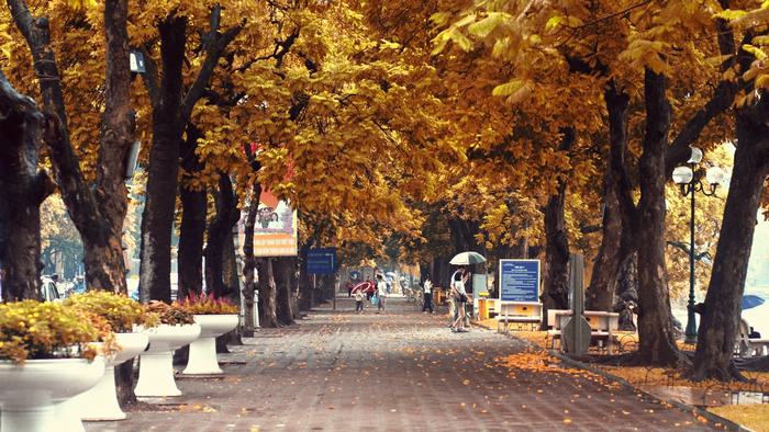 Hanoi street in autumn