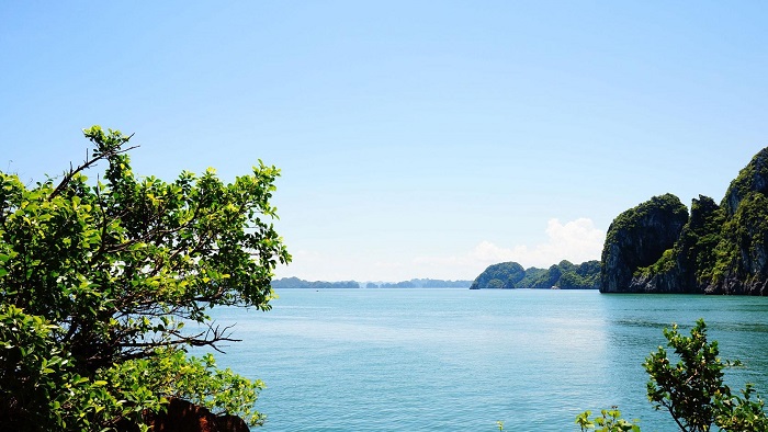 The beauty of Halong Bay