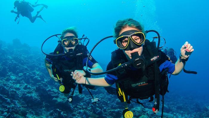 Diving in Halong Bay