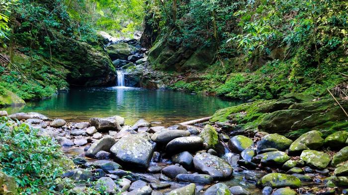 Bach Ma National Park