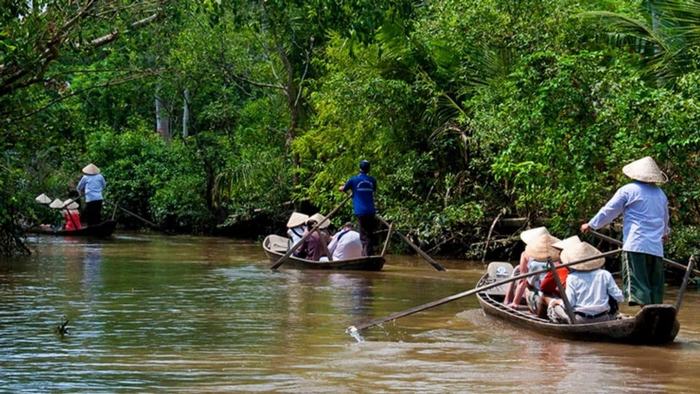 Explore Mekong Delta by boat