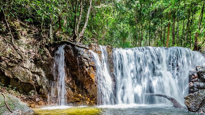 Tranh Stream