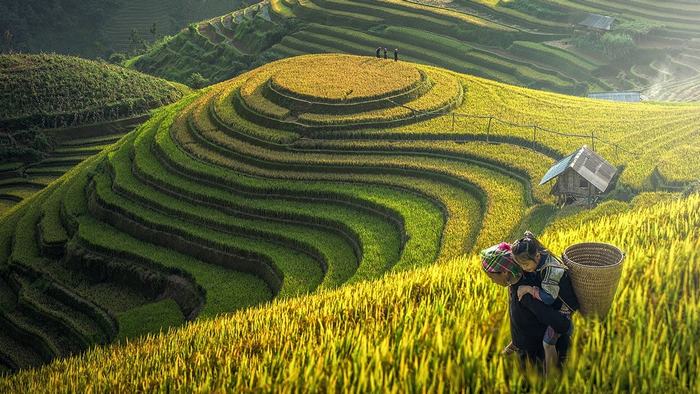 Sapa in September