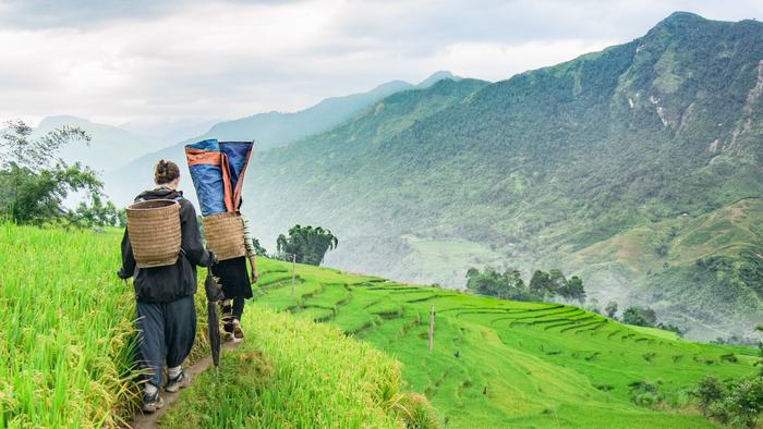 Sapa valley views