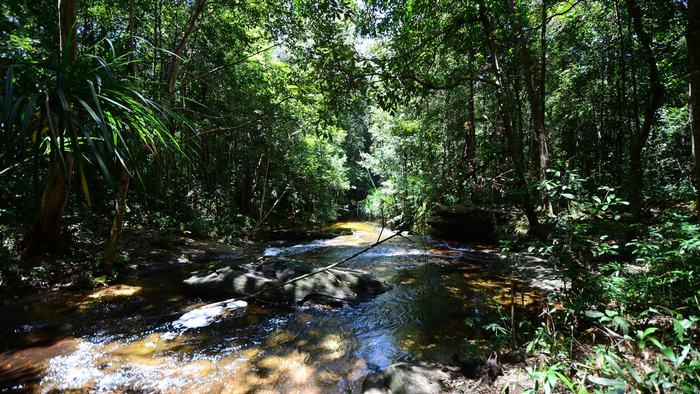 Phu Quoc National Park