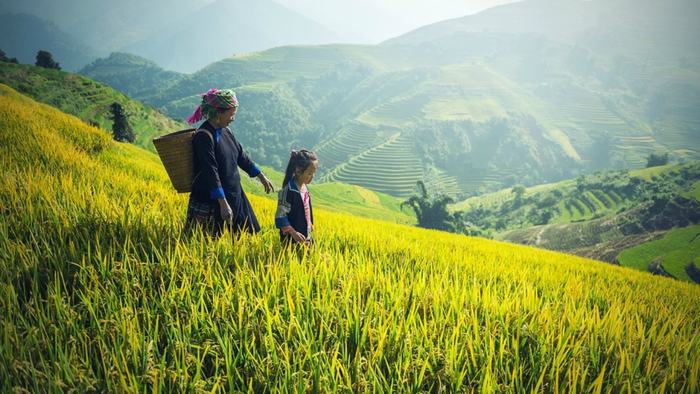 The peaceful scenery of Sapa