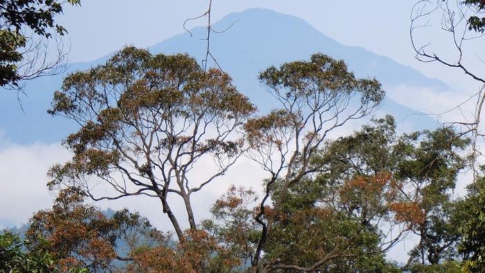 The mountains are surrounded by the white clouds all year round