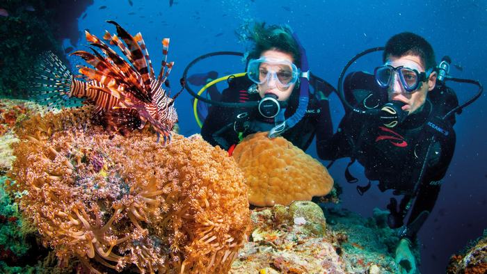 Diving in Binh Ba