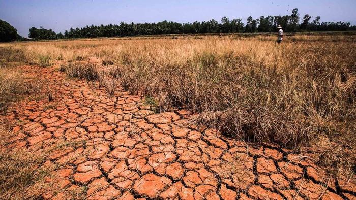 Drought in Mekong Delta