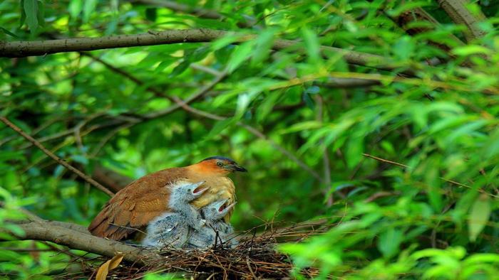 Cuc Phuong National Park