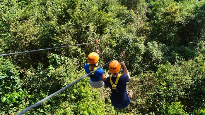 Zipline and highwire