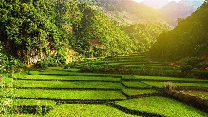 Mai Chau scenery