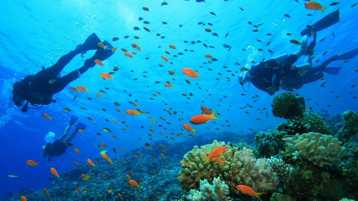 Diving in Phuket