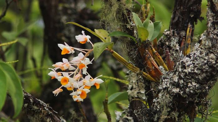 Phu Quoc National Park