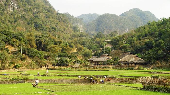 Village in Mai Chau