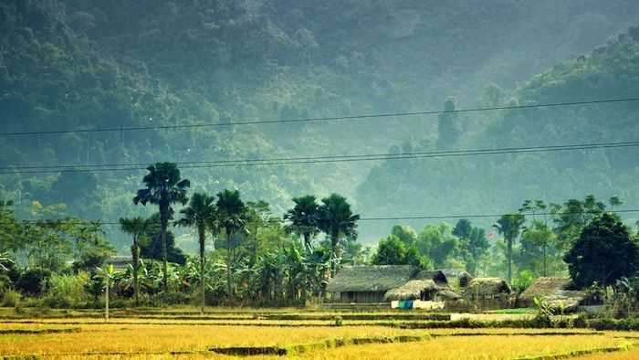 The poetic scenery in Mai Chau