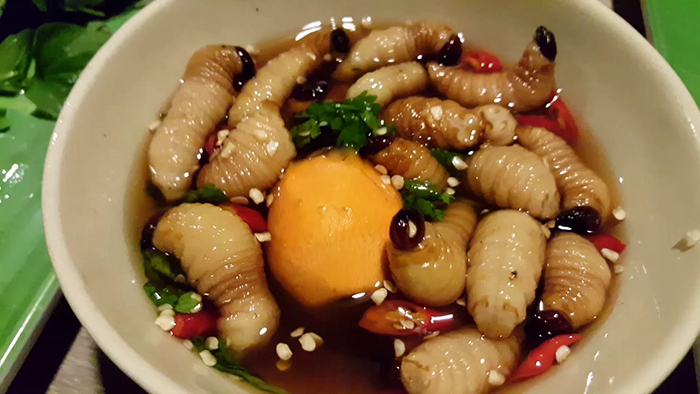 Live larvae served with chili sauce