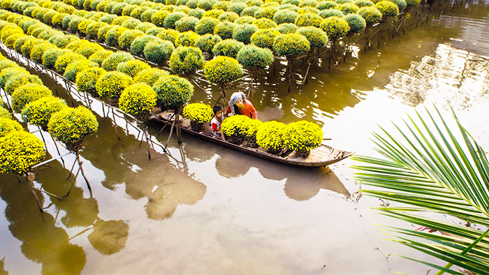 Flower garden in Southern Vietnam