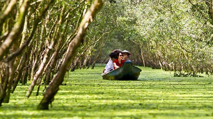 Tra Su melaleuca forest