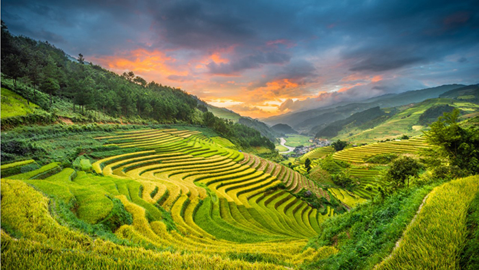 Tourists will see the natural beauty of Mu Cang Chai along the motorbike tour to Sapa (andreluu.com)