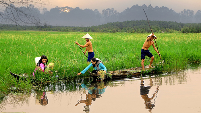 Participating in farming