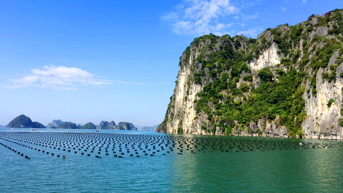 A pearl farm in Bai Tu Long