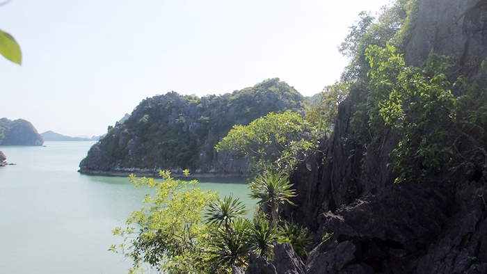 Nature on Cong Do island