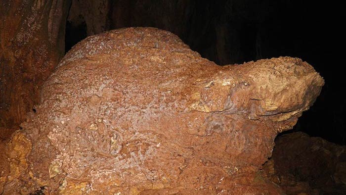 The stone of the Golden Tortoise in the cave