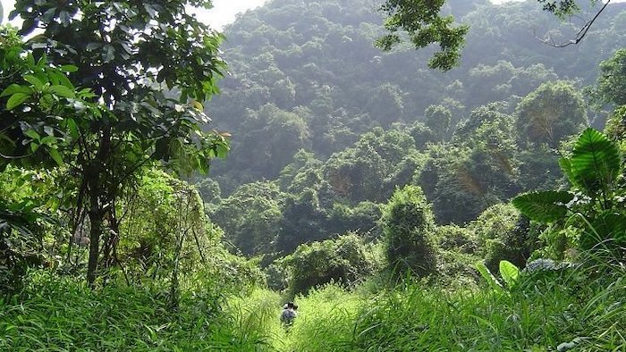 Trekking in Cat Ba National Park