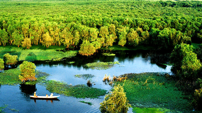 Tra Su forest viewed from above