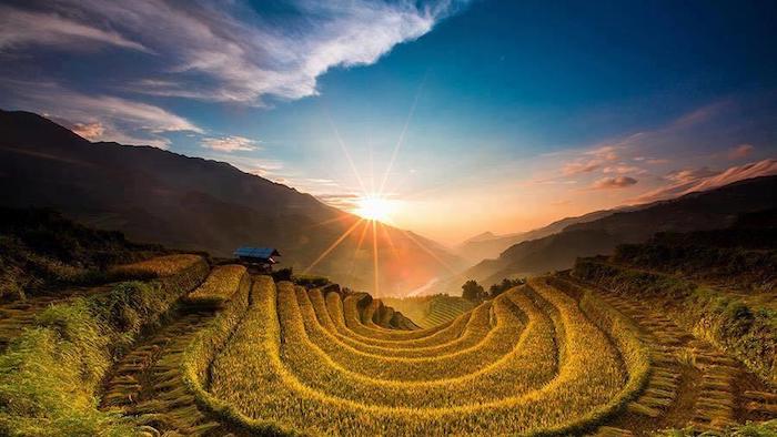 Mu Cang Chai