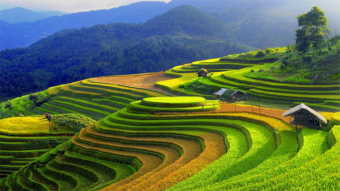 The 3 most beautiful rice terraces in Vietnam