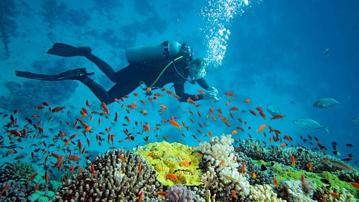 Diving in Halong