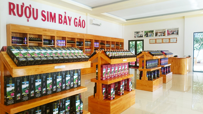 Tomentose rose myrtle alcohol sold in Phu Quoc