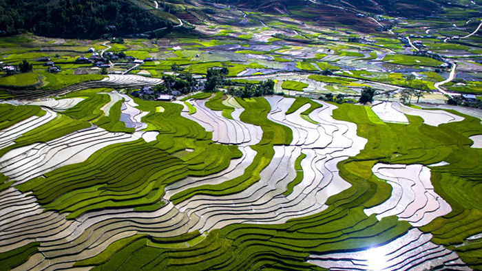 Mu Cang Chai in flood season (doanhnong.vn)