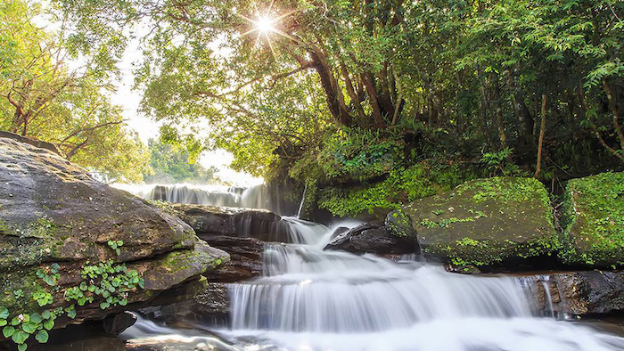 The beauty of Tranh stream