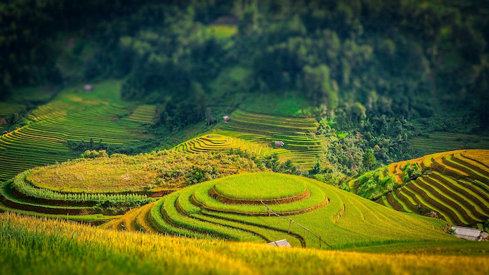 The natural scenery in Sapa