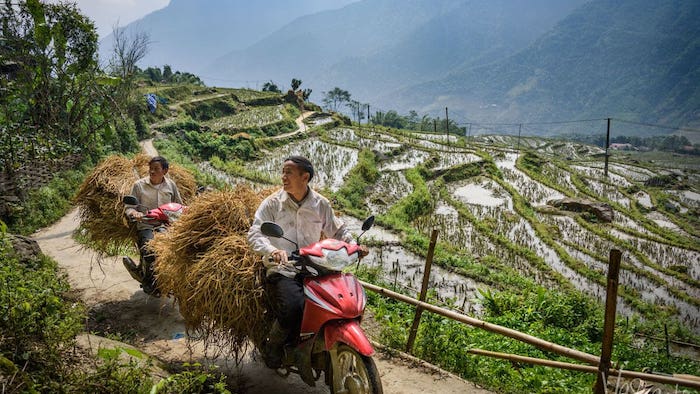 The rustic life in Sapa