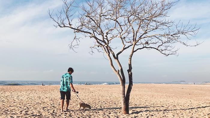 The wild scenery of Suoi O beach