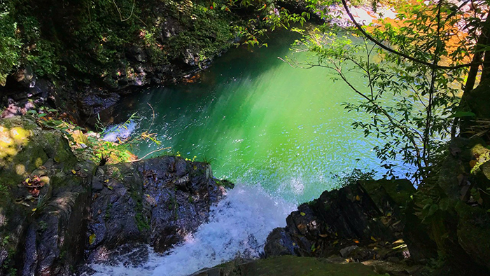 The rich nature that tourists can find in many National Park in Vietnam