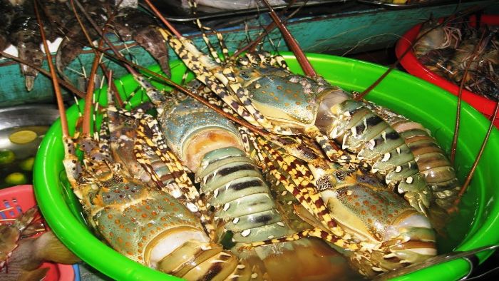 Fresh seafood in Zen Restaurant