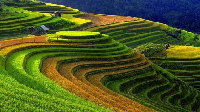 Discover The Beauty Of Northern Vietnam In Autumn